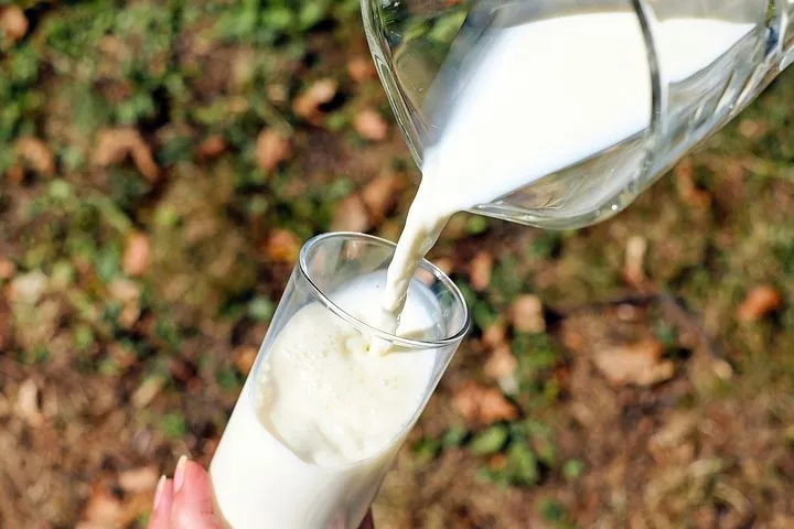 В Мордовии растет производство молока